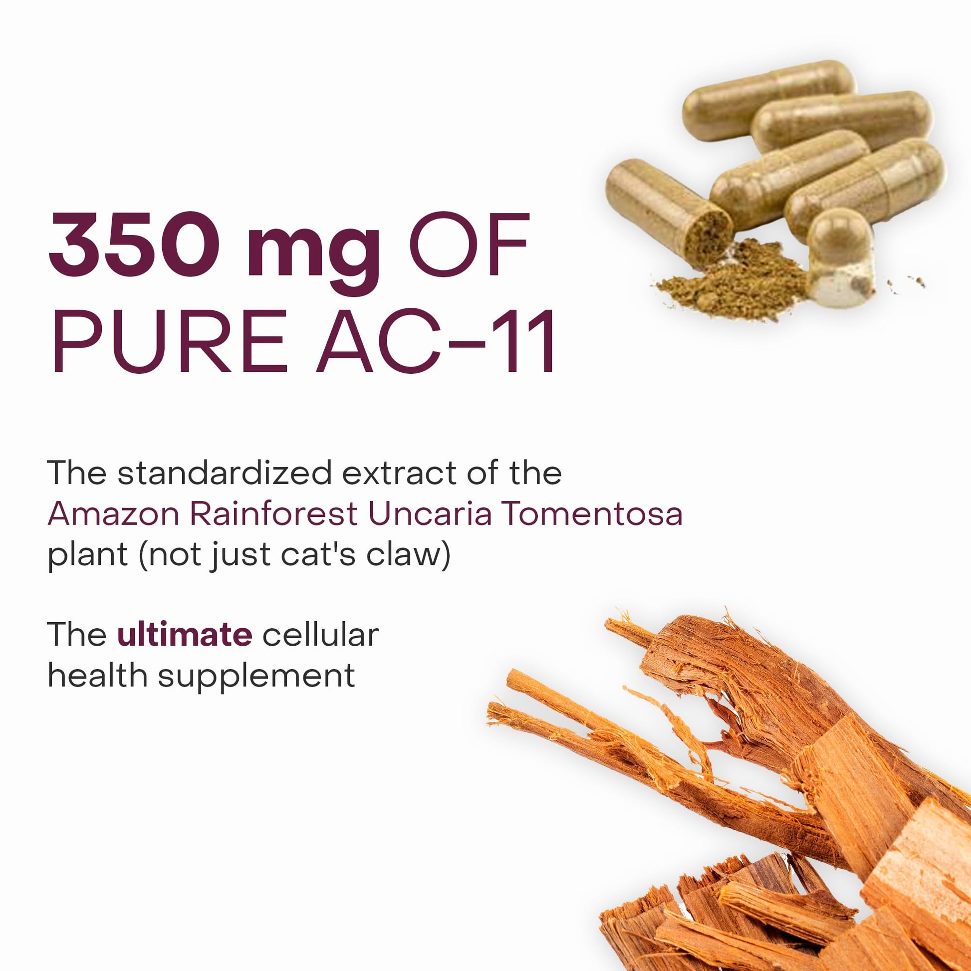 Healthycell Telomere Length Supplement - Anti-Aging Telomere Lengthening Supplements with Phytonutrients & Vitamins for Cellular Health - AC-11, Astragalus & Resveratrol - 30 Capsules HealthycellBuy Supplements Australia