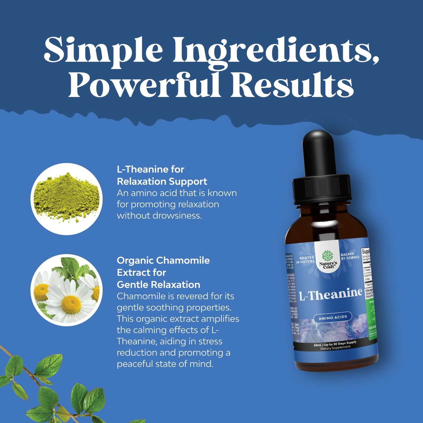 High Absorption L-Theanine Liquid Drops - Nootropic Focus Supplement with L Theanine 200mg Per Serving and Chamomile Extract Supplement for Adults and Kids Relaxation and Focus - 2 Fl Oz Natures CraftBuy Supplements Australia