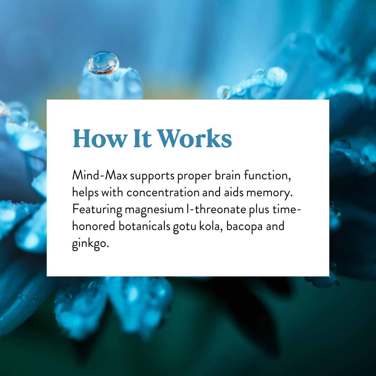 Nature's Sunshine Mind-Max 90 Capsules Nature's SunshineBuy Supplements Australia