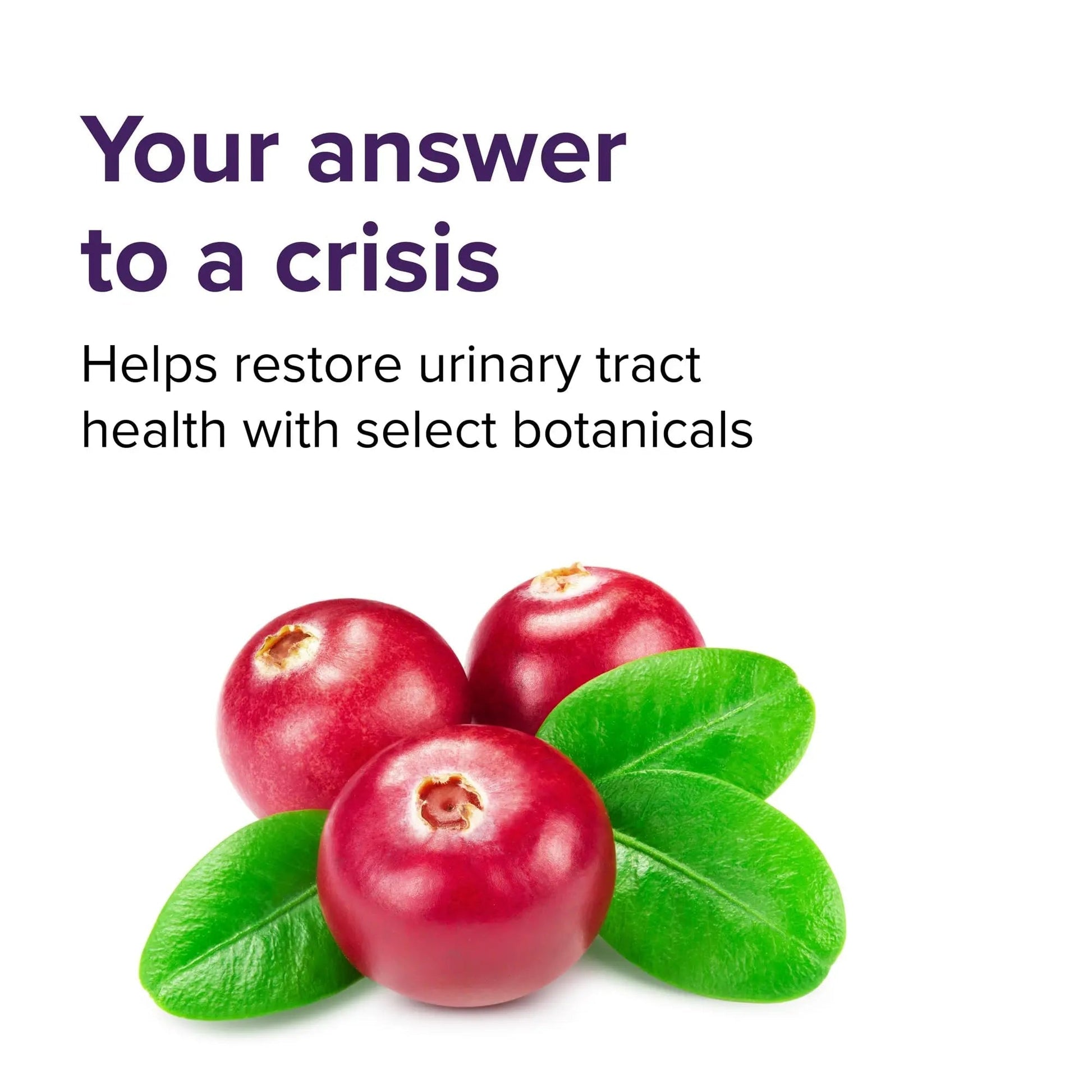 Vibrant Health, U.T. Vibrance Powder, Crisis Intervention for Urinary Tract Health, 10 Servings Vibrant HealthBuy Supplements Australia