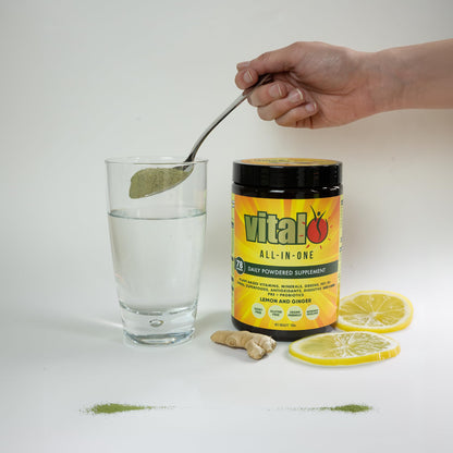 Vital All-in-One Daily Powdered Supplement - Natural Greens Superfood Powder for Energy & Health, Super Greens Powder Drink Mix with Probiotic & Antioxidant Support - Lemon & Ginger, 4.23 oz (120 g) VitalBuy Supplements Australia