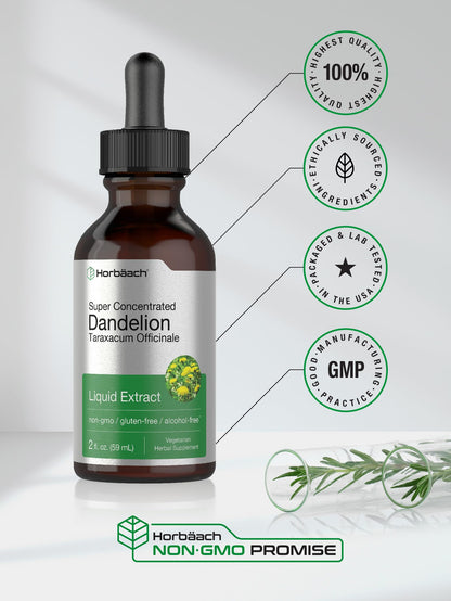 Dandelion Root Extract | 2 fl oz | Super Concentrated | Alcohol Free Liquid Tincture HorbäachBuy Supplements Australia