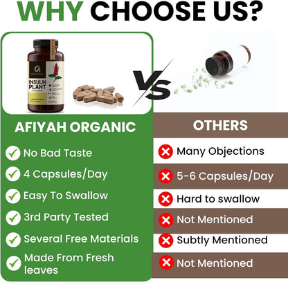 Afiyah Organic - Premium Quality Costus Igneus (Insulin Plant) Capsules - Easy to Swallow 120 Veggie Capsules (1 Month Supply) - Made in the USA - Including Complete Health Support Program Afiyah OrganicBuy Supplements Australia