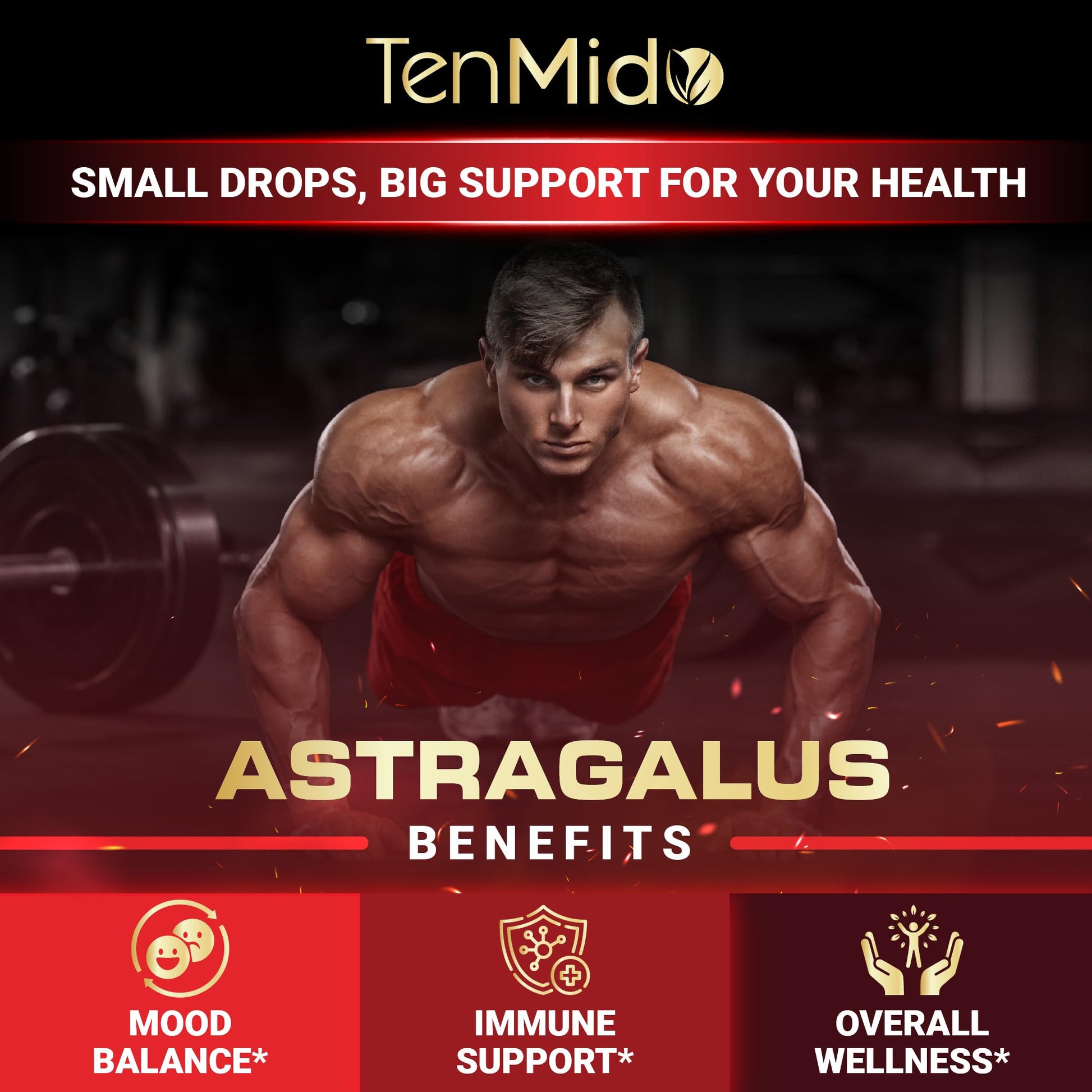 Tenmido 6-in-1 Astragalus Root Tincture - Herbal Extract Supplements with Quercetin, Rhodiola Rosea, Vitamin D3, Vitamin C, and Zinc - Vegan, Non-GMO - 30ml 1 Fl Oz TenmidoBuy Supplements Australia