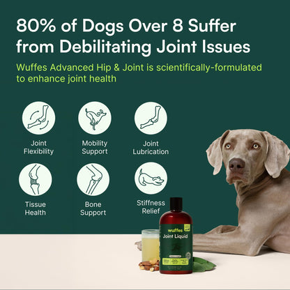 Wuffes Advanced Joint Liquid for Dogs, Hip & Joint Support Supplement with Glucosamine, Chondroitin, UC-II® Collagen, and MSM, for Small & Large Breeds, 16 Oz WuffesBuy Supplements Australia