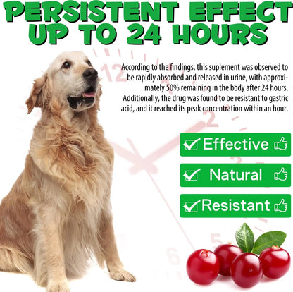 Dog UTI Treatment - Urinary Tract Infection Treatments, Kidney+Bladder Support Supplement, Natural Cranberry Extract for Dogs, Supports Urinary and Digestive Health (2 Fl Oz (Pack of 2)) OnznozBuy Supplements Australia