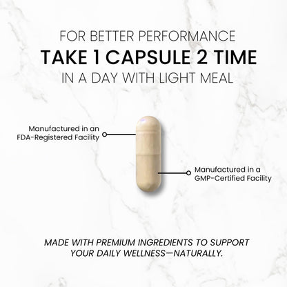 TrueMed Neuro Support - Premium Nootropic Supplement for Focus, Energy, Mental Clarity, and Performance Organic Lion’s Mane, Bacopa Monnieri, Rhodiola, Non-GMO Gluten-Free CDP Choline 90 Veg Capsules TRUEMEDBuy Supplements Australia