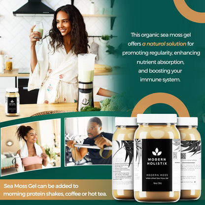 Modern Holistix Original Sea Moss Gel – 32oz Jar | Wildcrafted | All-Natural Superfood for Immunity, Energy & Gut Health Modern HolistixBuy Supplements Australia