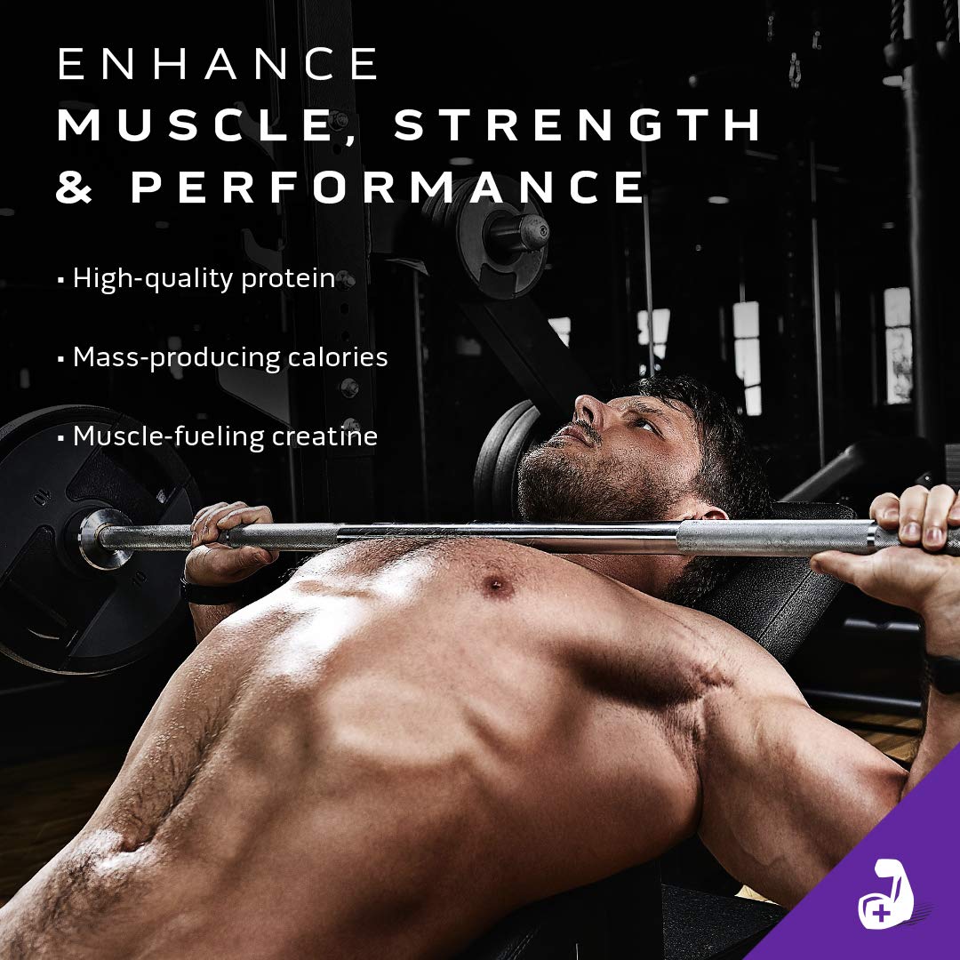 Mass Gainer MuscleTech 100% Mass Gainer Protein Powder Protein Powder for Muscle MuscleTechBuy Supplements Australia