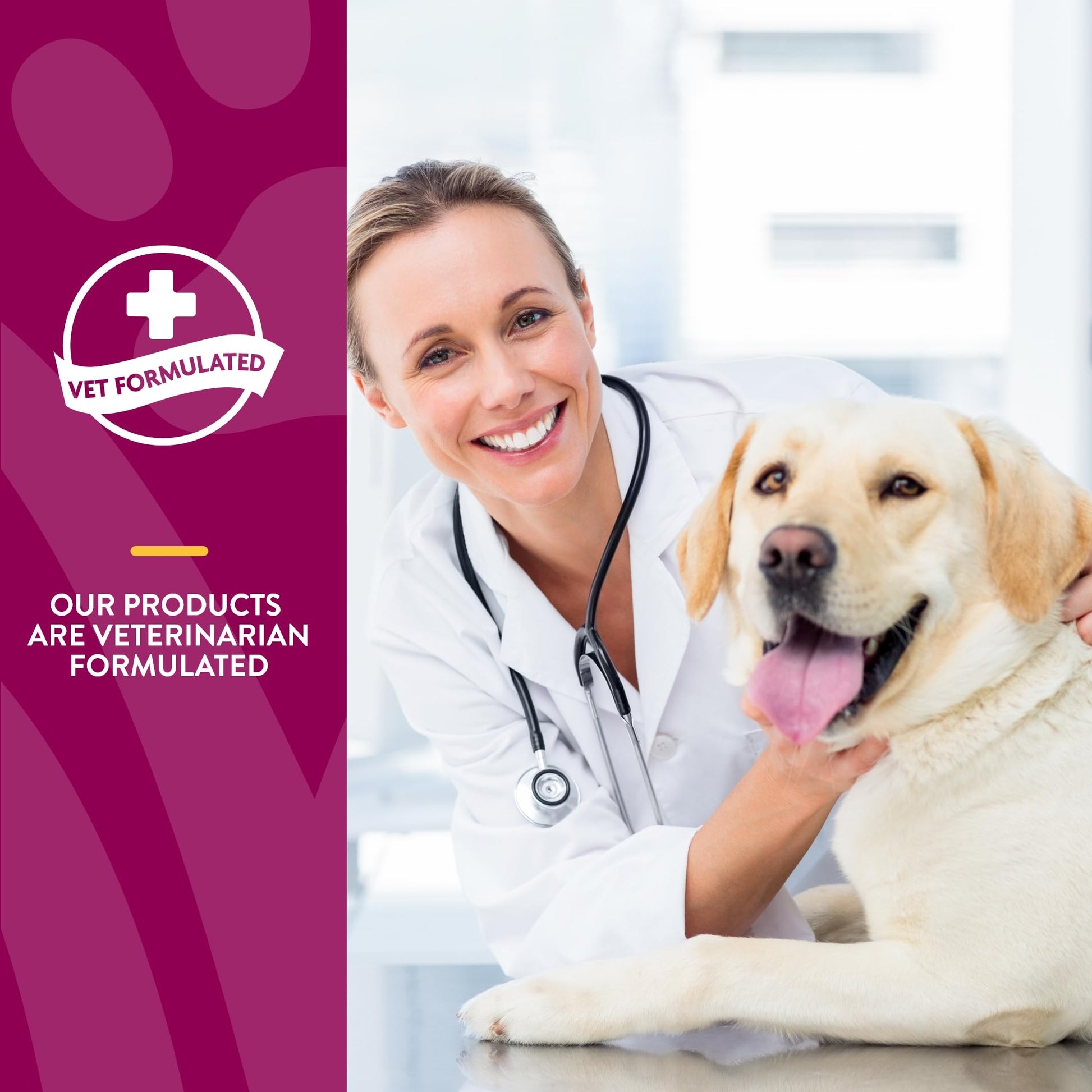 NaturVet – Glucosamine DS Plus - Level 2 Moderate Care – Supports Healthy Hip & Joint Function – Enhanced with Glucosamine, MSM & Chondroitin – for Dogs & Cats–120 Soft Chews NaturVetBuy Supplements Australia