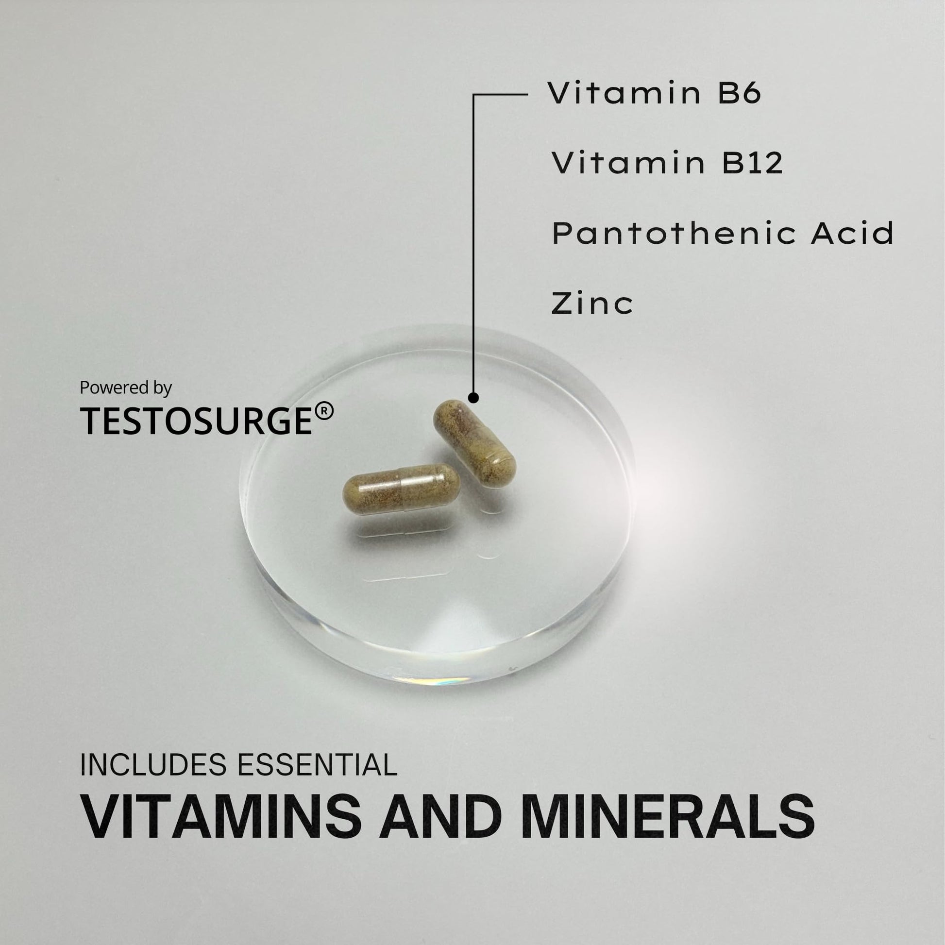EPIC-T Testosterone Support Supplement for Men | Plant-Based Formula with Testosurge, B-Complex, B12, Zinc & Boron | Vegan, Non-GMO Daily Support EPICBuy Supplements Australia