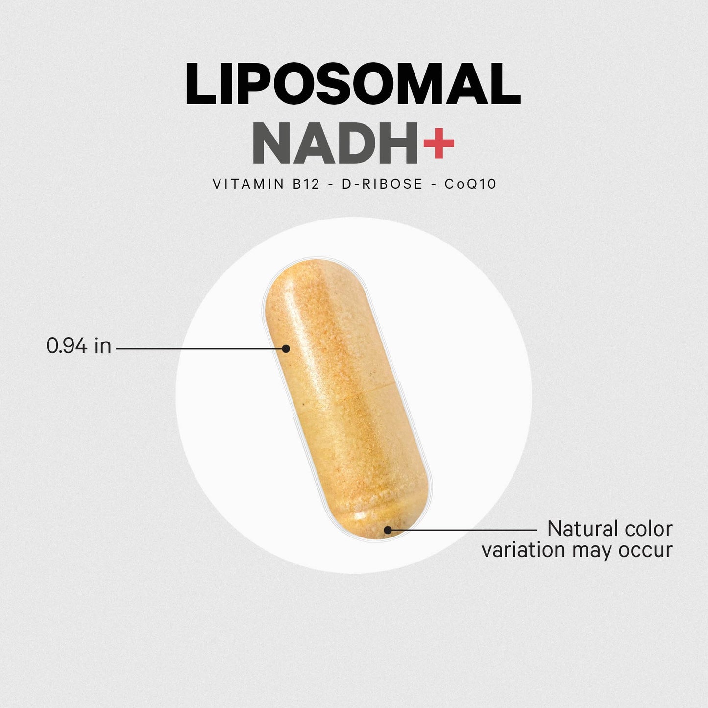Codeage Liposomal NADH+ Supplement - NADH, Vitamin B12, D-Ribose as Bioenergy Ribose, CoQ10-2-Month Supply - Liposomal Delivery - β-Nicotinamide Adenine Dinucleotide Pills - Non-GMO - 60 Capsules CodeageBuy Supplements Australia