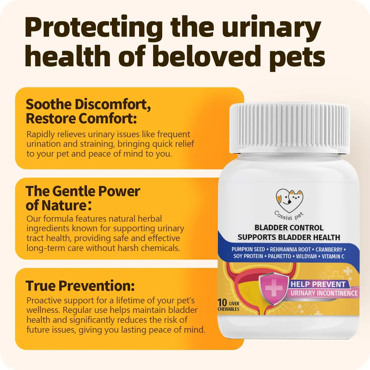 Cassiel Pet Bladder Supports Chews for Urinary Tract Health, Infection Treatments, Bladder Health, Dog UTI, Bladder Stones, Incontinence Support, Urinary Pain Relief for Cat & Dog 10 Chews (1 Bottle) Cassiel petBuy Supplements Australia