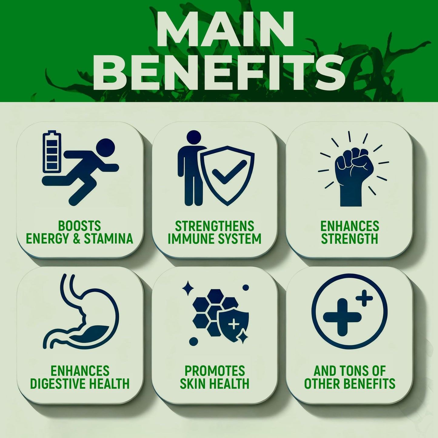 Sea Moss Black Seed Oil Ashwagandha Ginger - Advanced Irish Sea Moss Capsules All in One Supplement with Seamoss Black Seed Oil Ashwagandha Burdock Root Bladderwrack - Pills for Energy, Immune, Gut Opti HealthBuy Supplements Australia