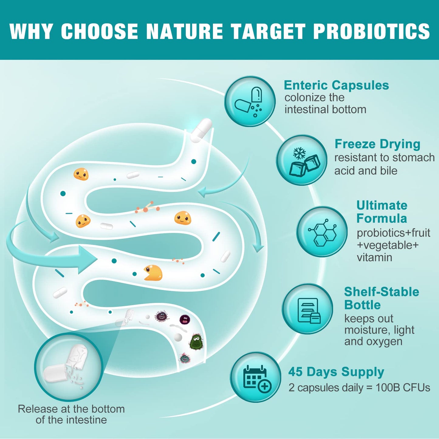 Probiotics for Women-Men-Kids Digestive Health, Prebiotics and Probiotics for Women NATURE TARGETBuy Supplements Australia
