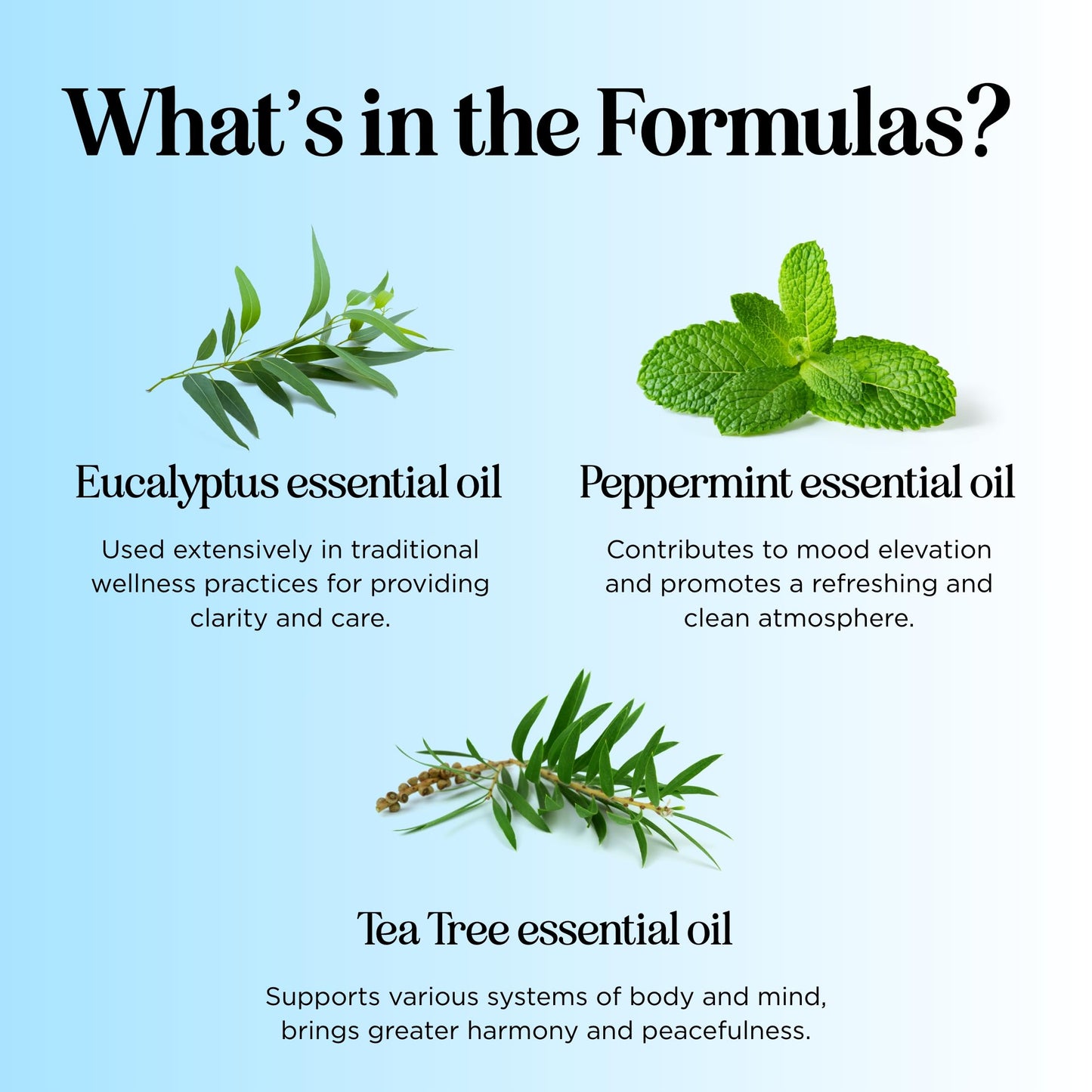 Headache Roll on Essential Oils - Aromatherapy Essential Oils Sets Variety Pack with Peppermint Clarify Maple HolisticsBuy Supplements Australia