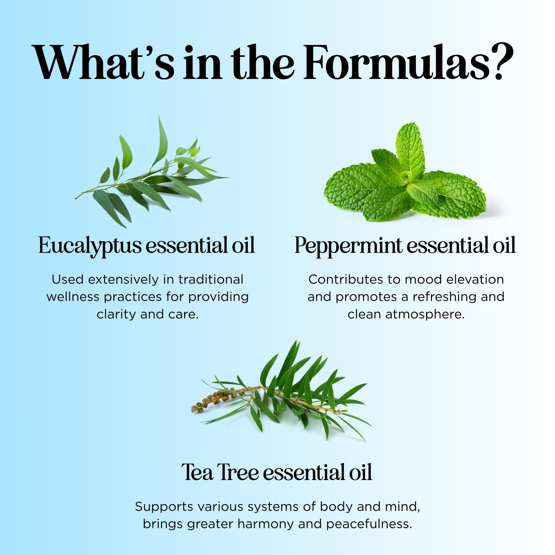 Headache Roll on Essential Oils - Aromatherapy Essential Oils Sets Variety Pack with Peppermint Clarify Maple HolisticsBuy Supplements Australia