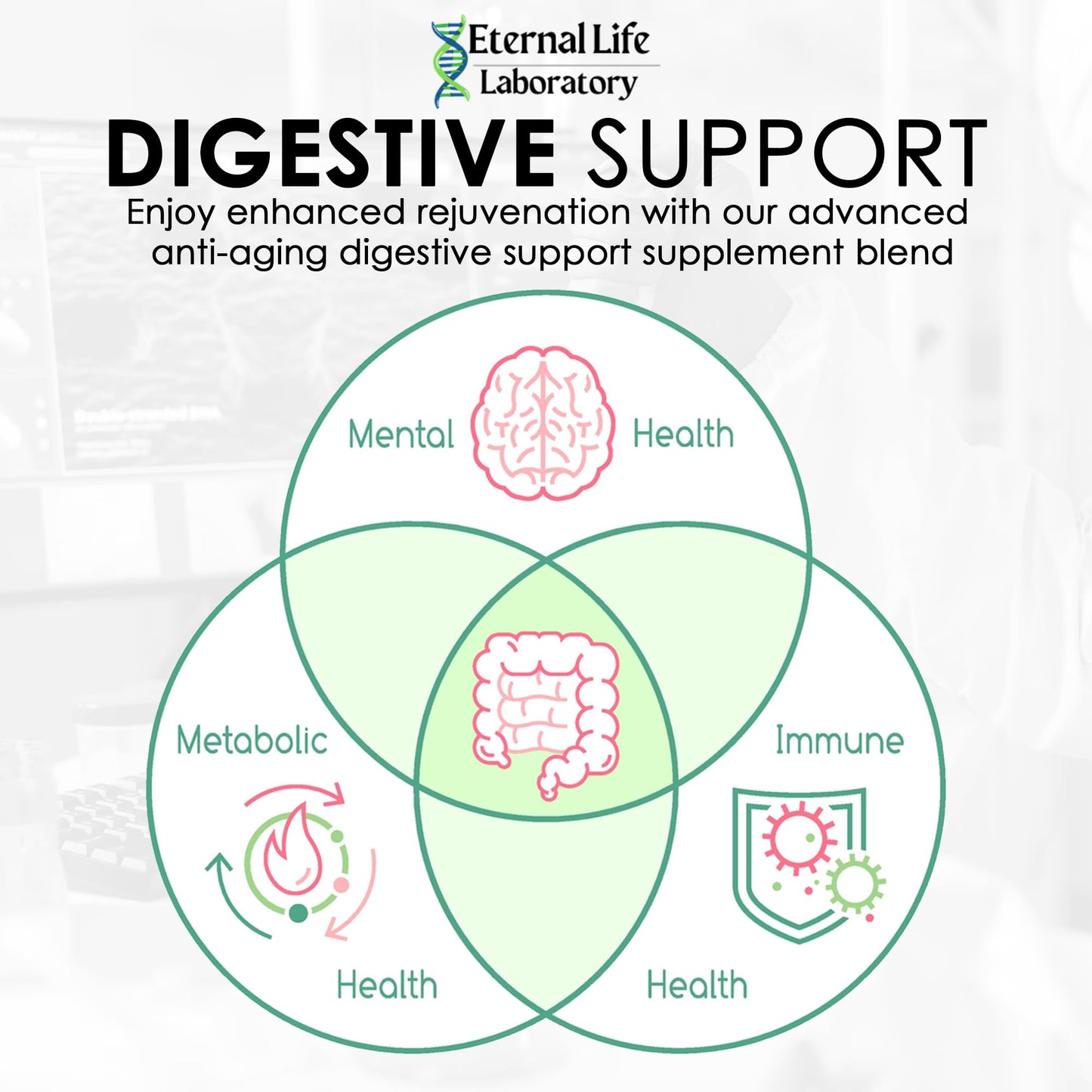 Probiotics for Women and Men, Daily Probiotic Supplement Probiotics and Triphala, Green Tea Extract - Anti-Aging Gut Health Optimizer - Intestinal, Colon & Digestive Health - 90 Capsules Eternal Life LaboratoryBuy Supplements Australia