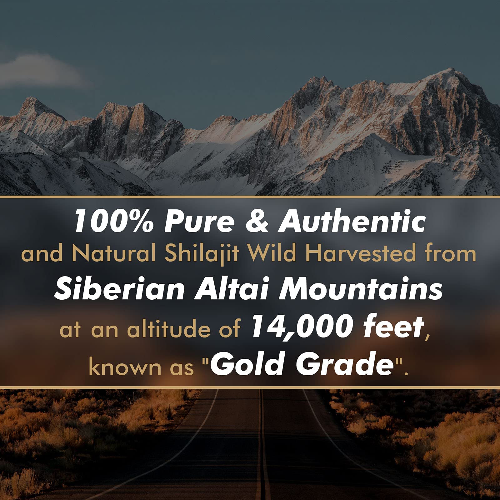 Shilajit Resin with Fulvic Acid & Trace Minerals, Original Siberian Pure Shilajit with 85+ Humic ALTAY MUMMIYOBuy Supplements Australia