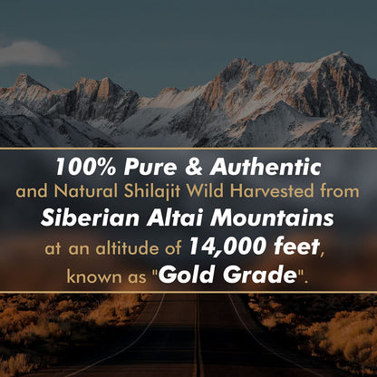Shilajit Resin with Fulvic Acid & Trace Minerals, Original Siberian Pure Shilajit with 85+ Humic ALTAY MUMMIYOBuy Supplements Australia