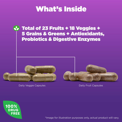 Natrol JuiceFestiv, Vitamins and Supplements for Nutrition & Well-Being, Antioxidants for Cellular Health, 90 Capsules