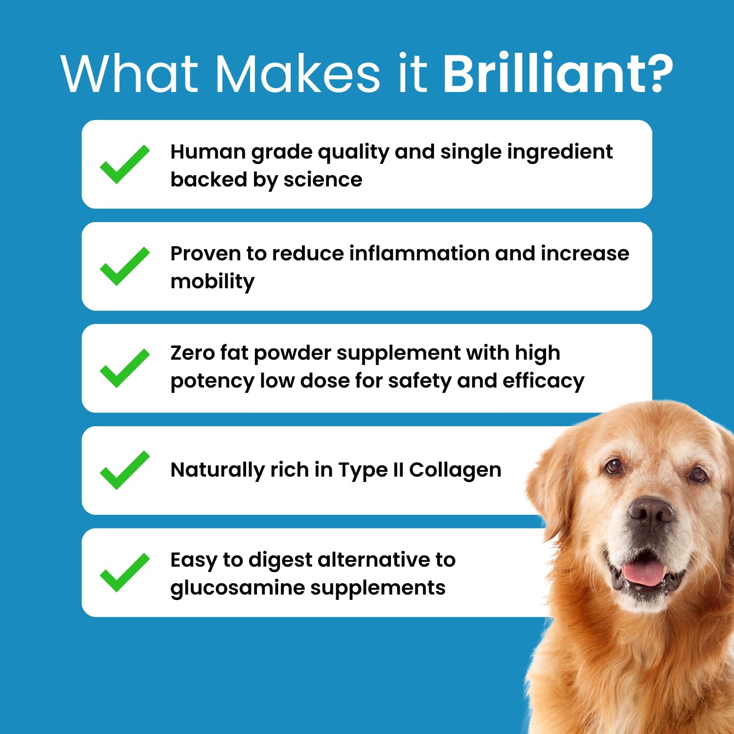 Hofseth BioCare Brilliant Bone & Joint Supplement for Dogs - High Strength Calcium & Collagen Powder for Joint & Hip Support, Essential Supplement for Dog’s of All Ages - 10.6 Oz Hofseth BioCareBuy Supplements Australia