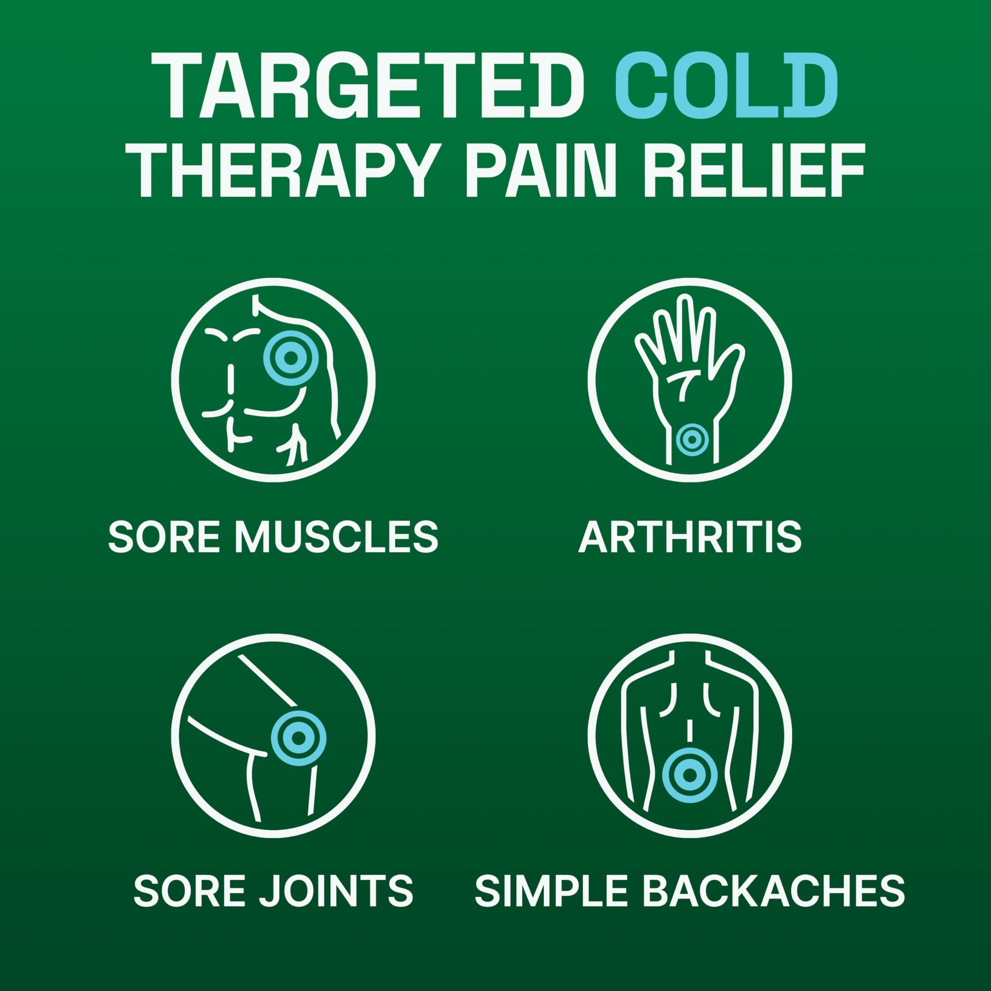 Biofreeze Pain Relief Spray, Arthritis Pain Reliever, Knee & Lower Back Pain Relief, Sore Muscle Relief, Neck Pain Relief, 2 Pack (4 FL OZ Biofreeze Menthol Spray) BiofreezeBuy Supplements Australia