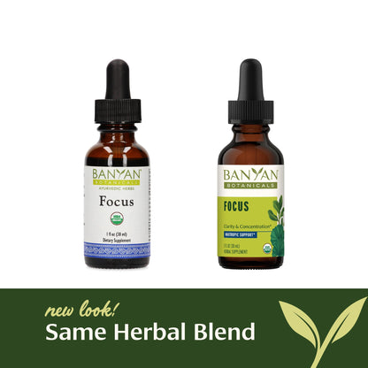 Banyan Botanicals Focus Liquid Extract – Organic Focus Supplement – Liquid Extract in Non-Alcoholic Glycerin – Nootropic Herbs for Fast-Acting Support* – 1 oz. – Non-GMO Sustainably Sourced Vegan Banyan BotanicalsBuy Supplements Australia