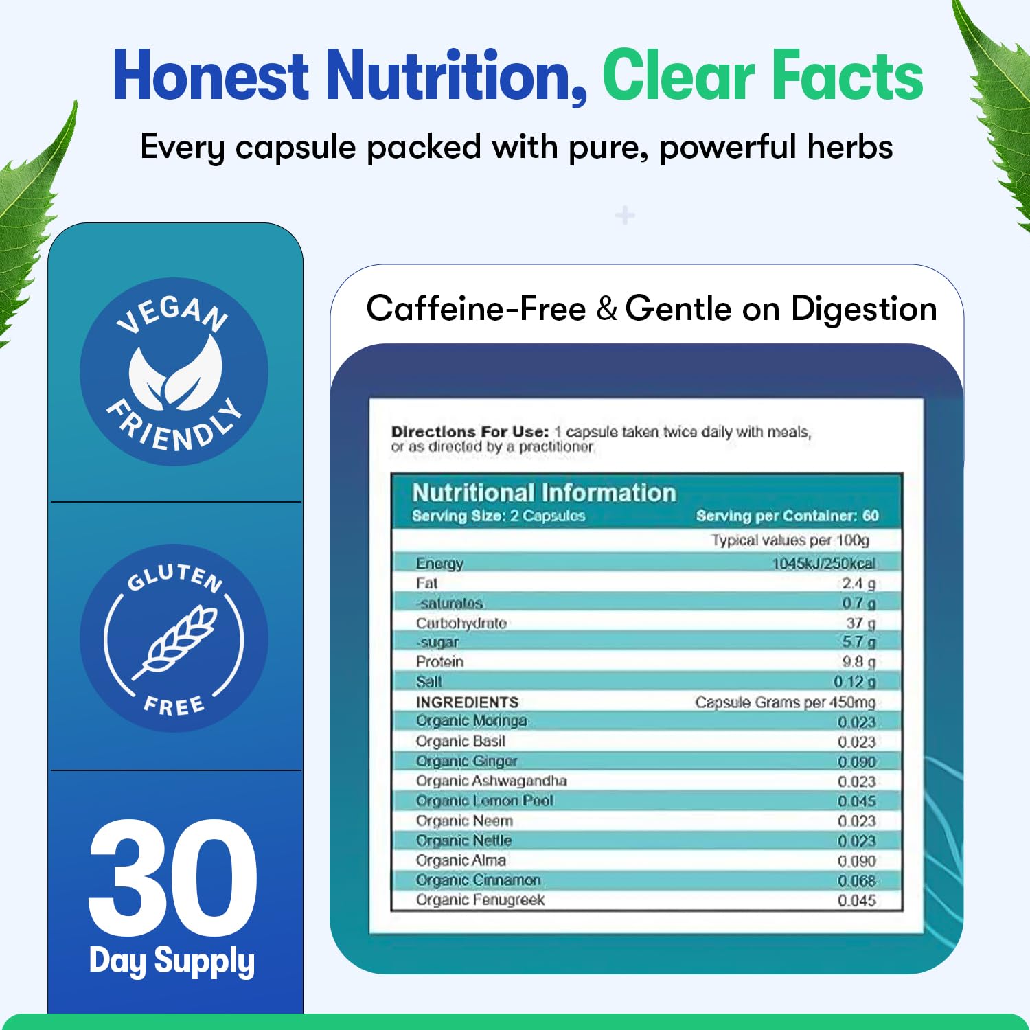 Zyzven Naturals Blood Sugar Support Supplement – 60 Vegan Capsules | Herbal Supplement with Moringa, Cinnamon, Ginger, Neem & Fenugreek | Plant-Based Wellness Supplement - Serving: 2 Capsules/Day Zyzven NaturalsBuy Supplements Australia
