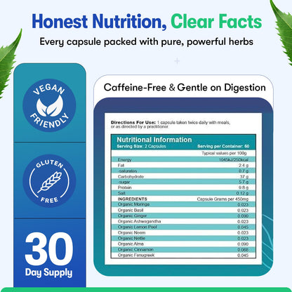 Zyzven Naturals Blood Sugar Support Supplement – 60 Vegan Capsules | Herbal Supplement with Moringa, Cinnamon, Ginger, Neem & Fenugreek | Plant-Based Wellness Supplement - Serving: 2 Capsules/Day Zyzven NaturalsBuy Supplements Australia