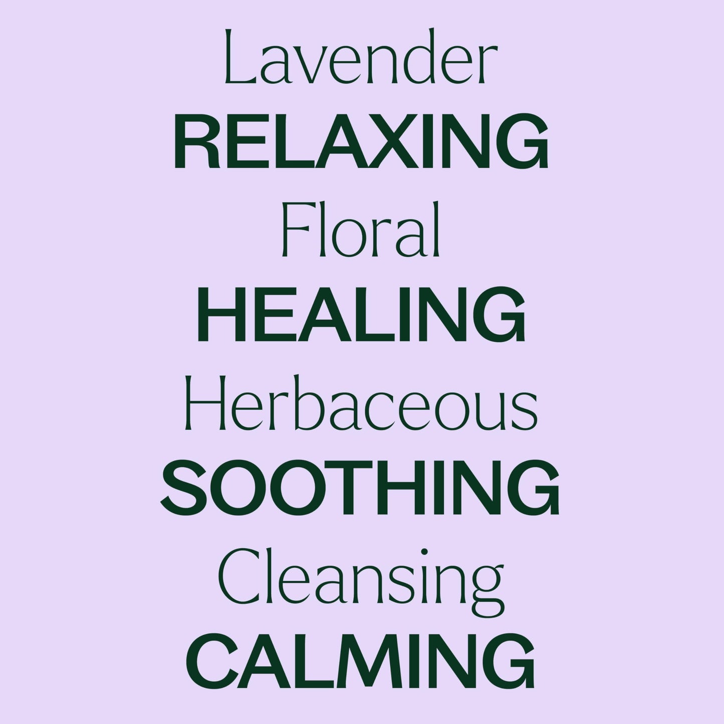 Plant Therapy Lavender Essential Oil 100% Pure, Undiluted, Therapeutic Grade, Aromatherapy Diffuser Plant TherapyBuy Supplements Australia