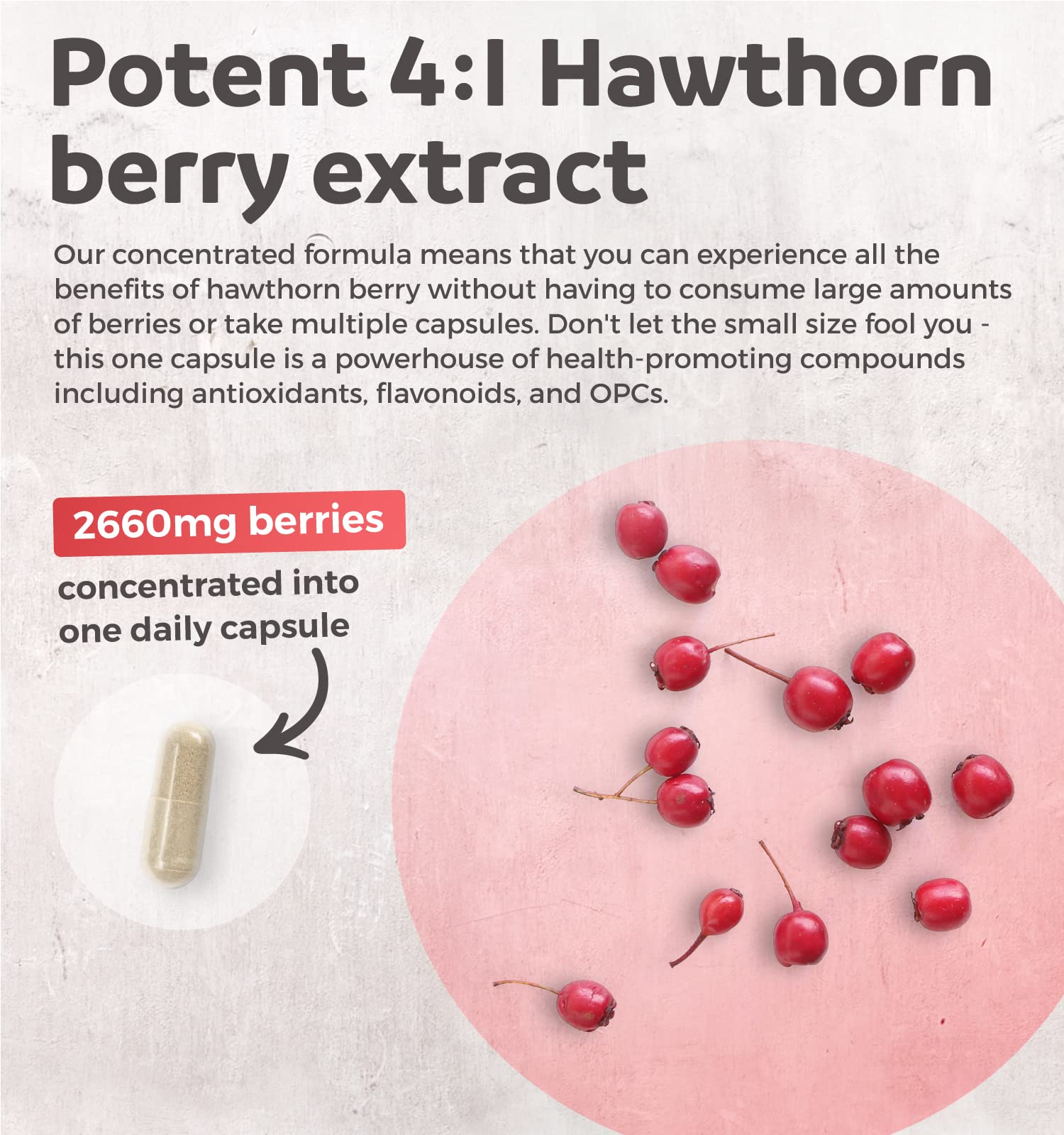 Hawthorn Berry Capsules - 4 Month Supply Digestion & Heart Health Supplement Healths HarmonyBuy Supplements Australia