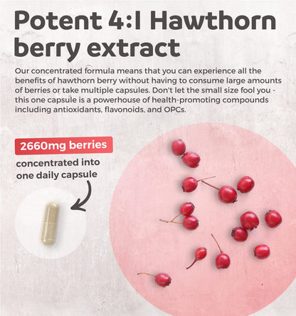 Hawthorn Berry Capsules - 4 Month Supply Digestion & Heart Health Supplement Healths HarmonyBuy Supplements Australia