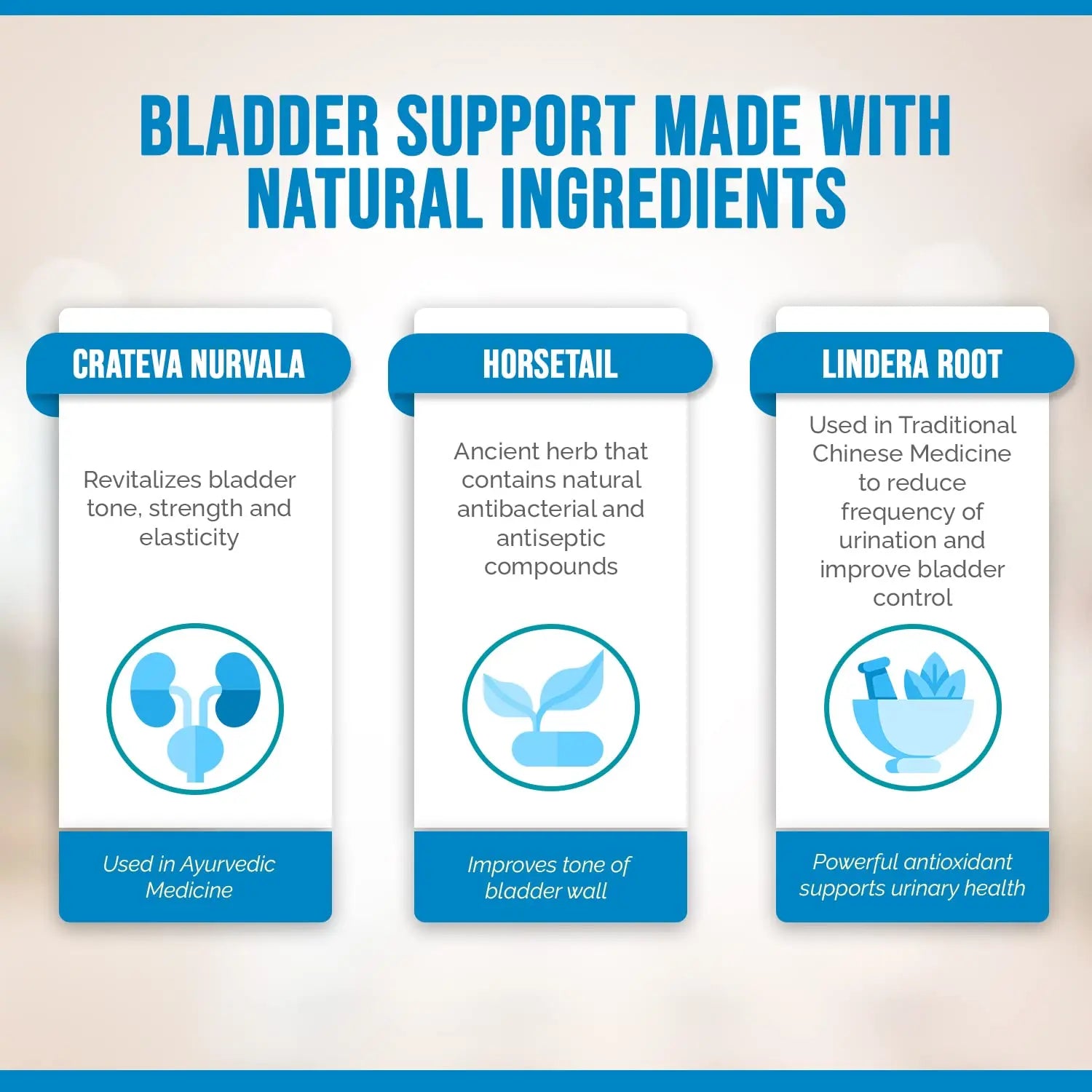 Better Bladder Control Supplement for Women & Men – Bladder Support Supplement to Help Reduce Urinary Leaks, Frequency & Urgency - 60 Count (1 Bottle) Better BladderBuy Supplements Australia