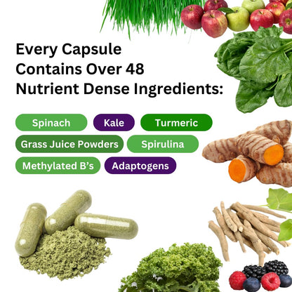 Paradise Herbs Earth's Blend Once Daily Multivitamin & B-Complex Bundle Paradise HerbsBuy Supplements Australia