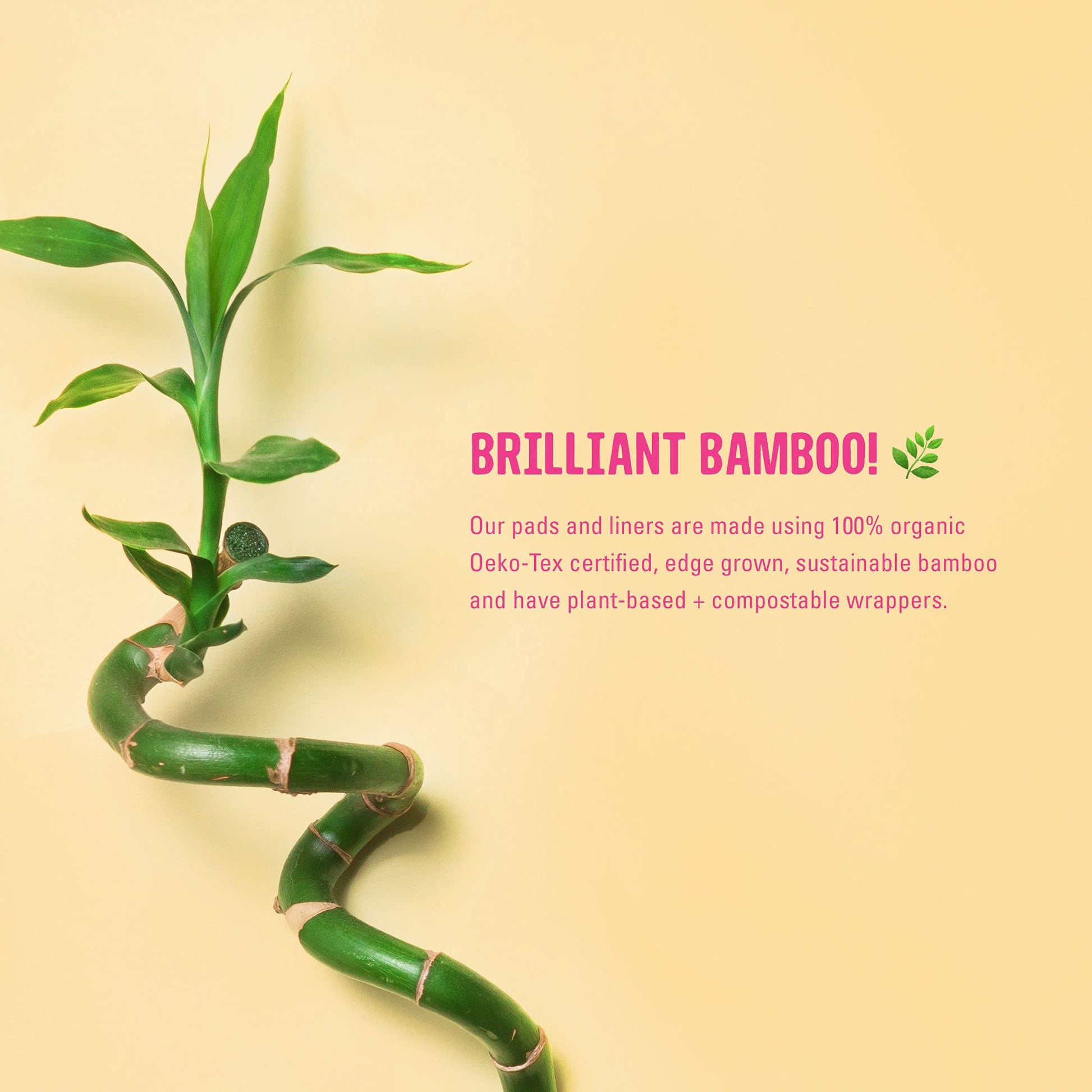 FLO - Organic Bamboo Daily Panty Liners, Plant-Based Cotton, Biodegradable FLOBuy Supplements Australia