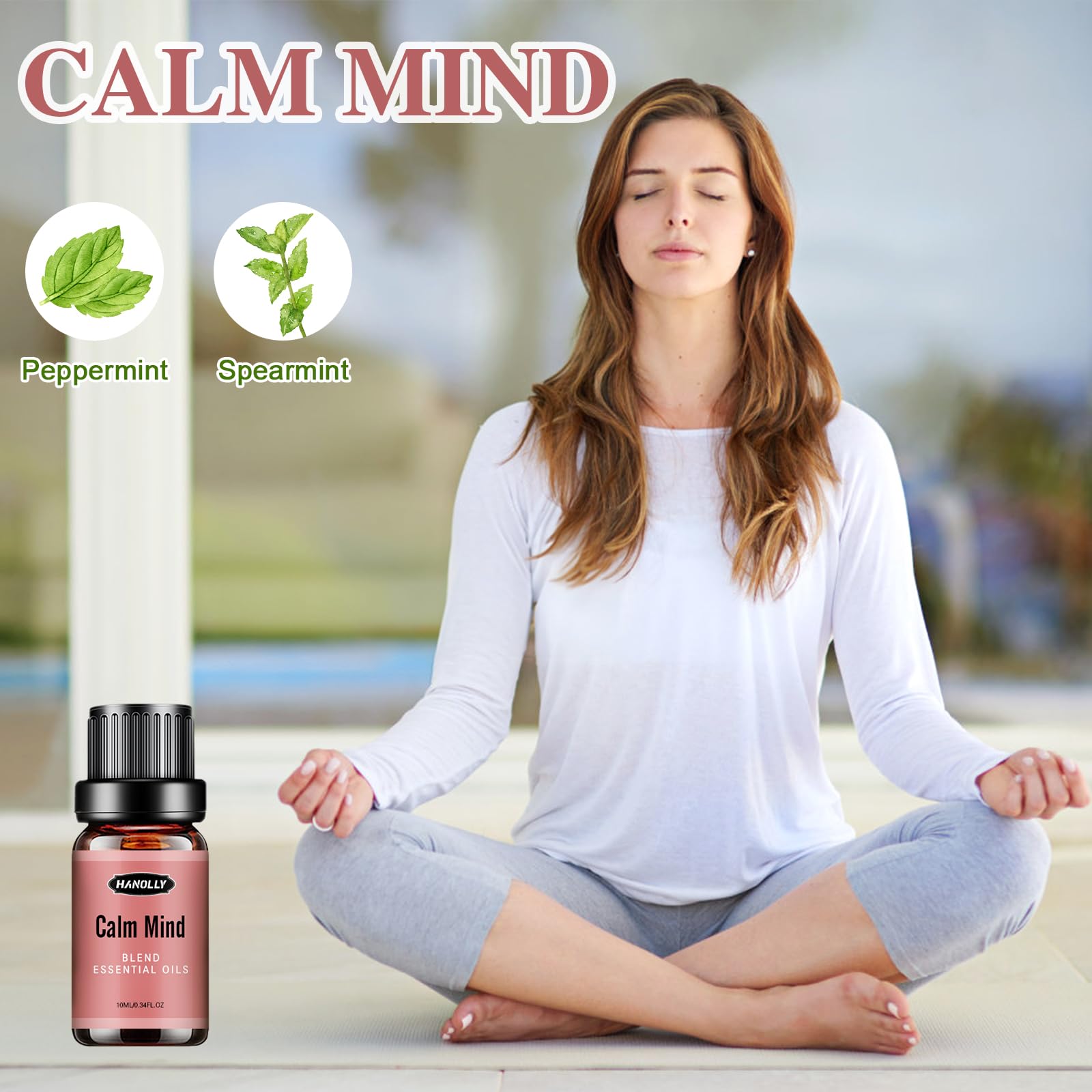 Essential Oils Blend Set, Fragrance Oil Aromatherapy Essential Oils Kit for Diffuser (6x10ML) HanollyBuy Supplements Australia