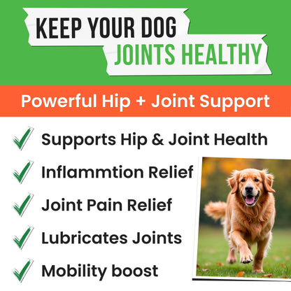 Pawsential Hemp Treats - Dog Joint Supplement - Mobility Support Chews w/Glucosamine Chondroitin, Turmeric, MSM - Hip & Joint Chews - Joint Pain Relief Treats - 120Ct PawsentialBuy Supplements Australia