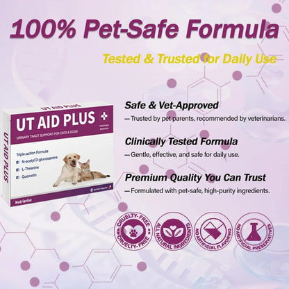 NUTRIARISE Natural UTI Treatment for Cats & Dogs – Antibiotic-Free Urinary Tract Infection Support Supplement – Bladder & Kidney Health – Incontinence Prevention – 30 Capsules NUTRIARISEBuy Supplements Australia