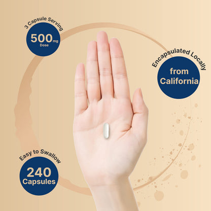 NatureBell Magnesium Citrate 500mg, 240 Capsules | High Purity Elemental Form NatureBellBuy Supplements Australia