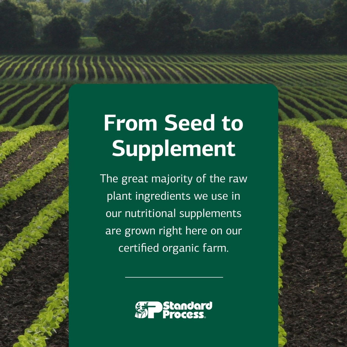 Standard Process Inc. Cardio-Plus - Antioxidant Support - Heart Health, Circulation & Blood Flow Supplement with Vitamin B6, Niacin & Riboflavin - Energy Metabolism Supplement - 330 Tablets Standard Process Inc.Buy Supplements Australia