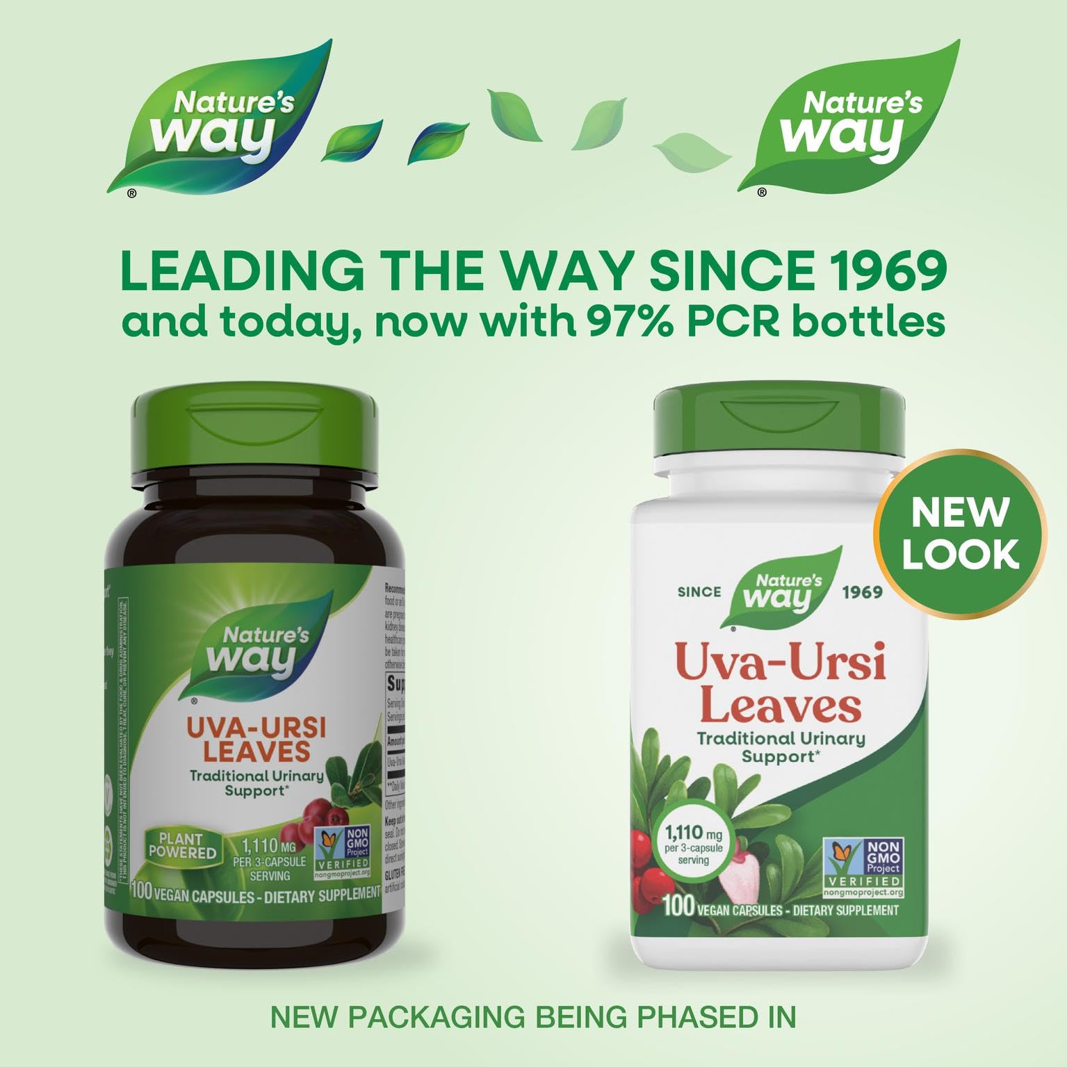 Nature's Way Uva Ursi Leaves, Traditional Urinary Support*, 1,110 mg per 3-Capsule Serving, Non-GMO Project Verified, Herbal Dietary Supplement, Gluten Free, 100 Vegan Capsules (Packaging May Vary) Nature's WayBuy Supplements Australia