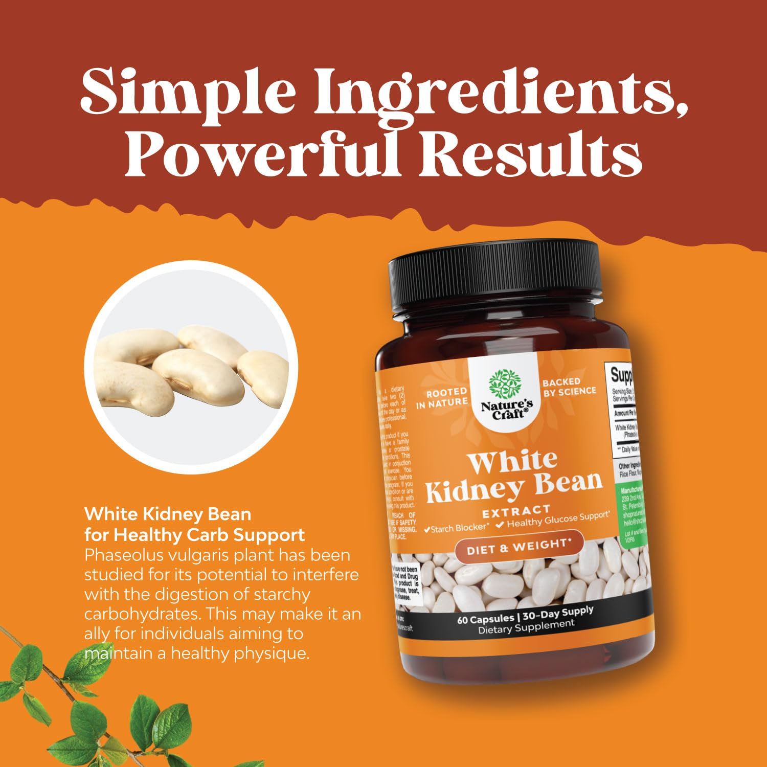 Natural White Kidney Bean Extract - White Kidney Bean Energy Booster AMPK Activator Natures CraftBuy Supplements Australia