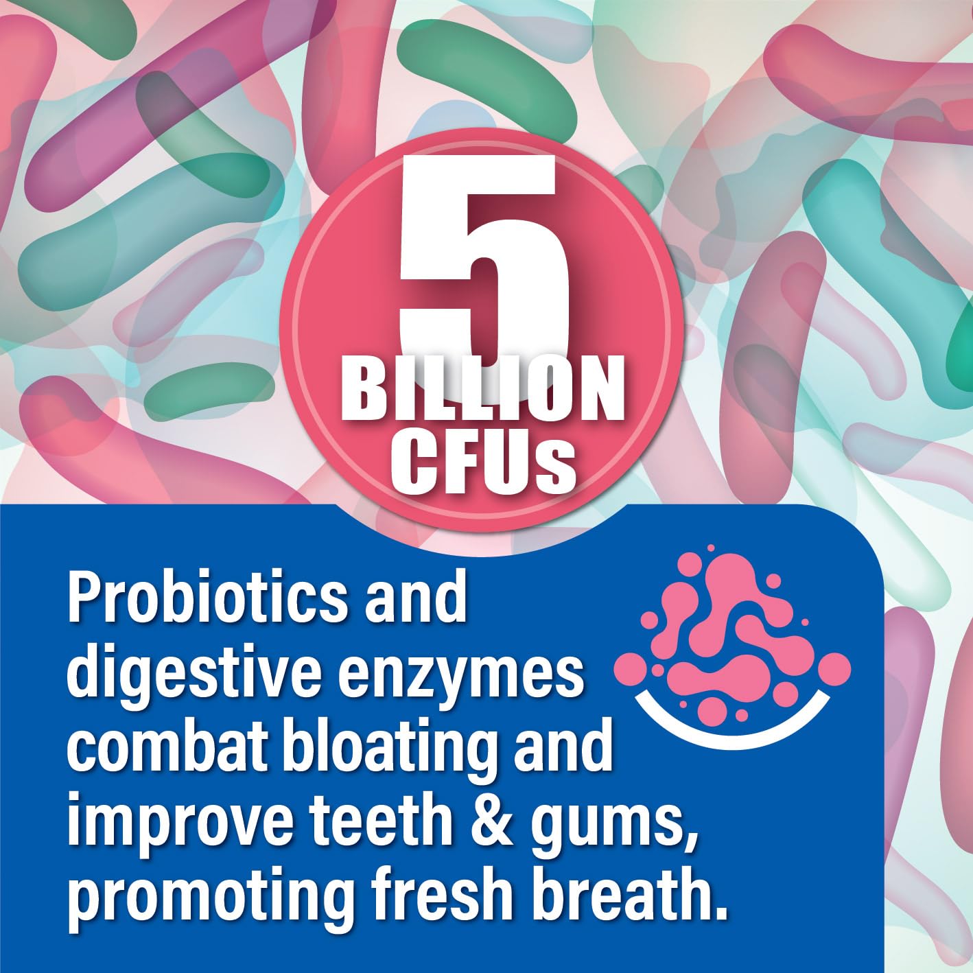 Probiotiv Chewable Probiotics for Daily Bloating w/ 5 Billion CFU – “Two-in-One Combo” ProbiotivBuy Supplements Australia