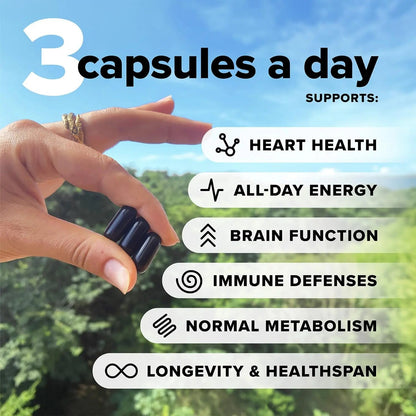 Complement Essential Vegan Multivitamin for Men & Women (30 Servings, 90 Capsules) with Omega-3 DHA & EPA, B12, Vitamin D3 & K2, Zinc, Selenium ComplementBuy Supplements Australia