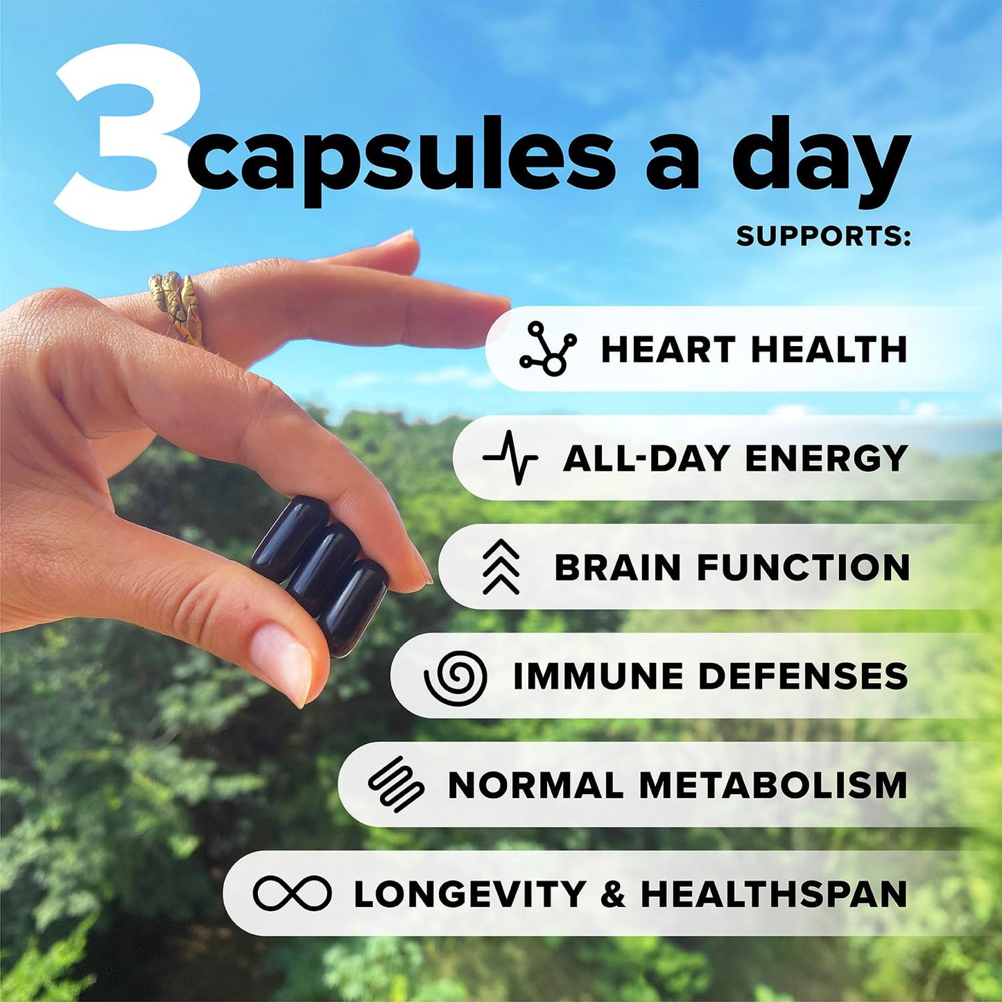 Complement Essential Vegan Multivitamin for Men & Women (30 Servings, 90 Capsules) with Omega-3 DHA & EPA, B12, Vitamin D3 & K2, Zinc, Selenium, Magnesium, Iodine - Supports Immunity & Overall Health ComplementBuy Supplements Australia