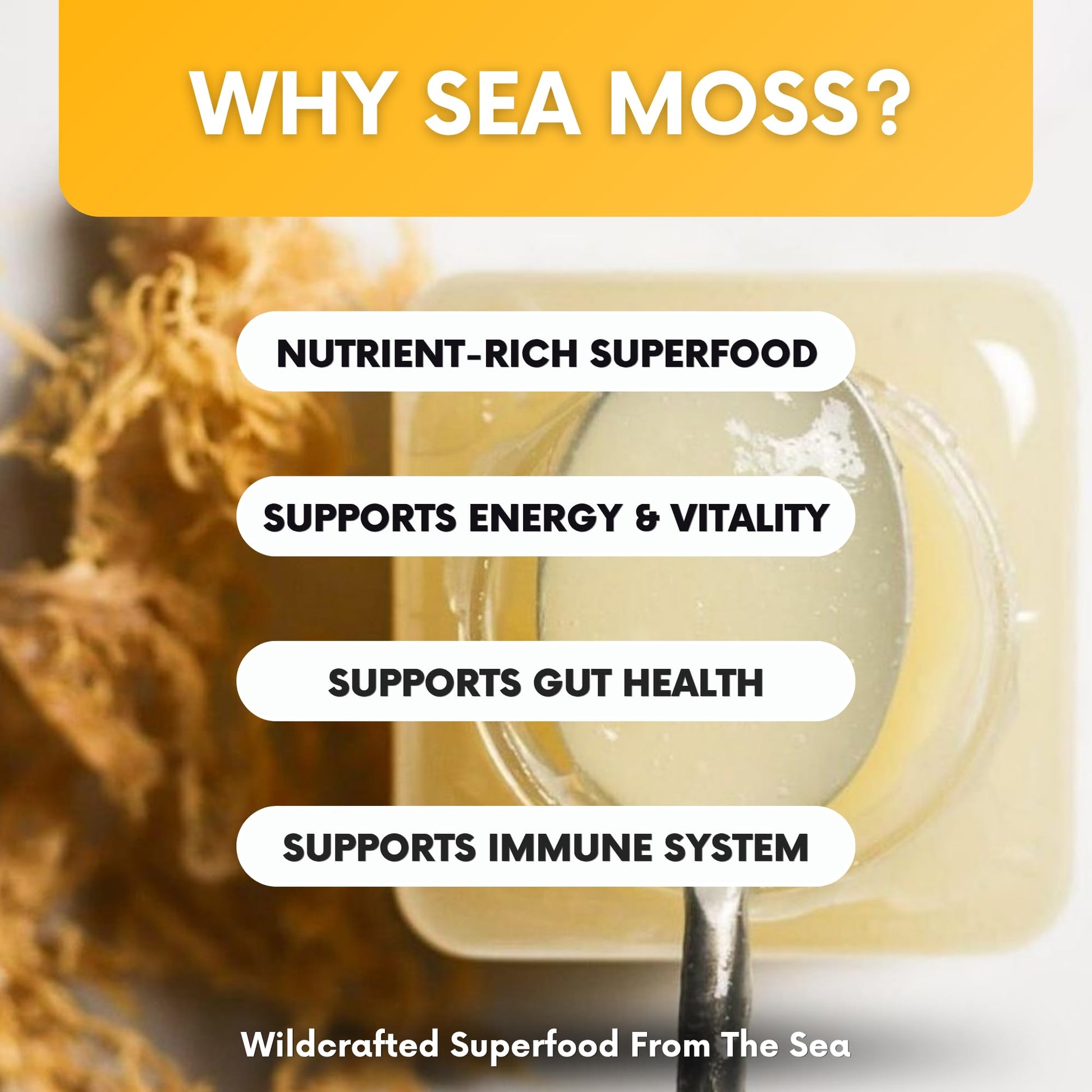 Joy Sea Moss Wildcrafted Irish Sea Moss Gel 16 oz | Made in USA | Gold Seamoss Superfood | Rich in Vitamins & Minerals | Real Fruit | Nutritional Supplement | Mango Joy Sea MossBuy Supplements Australia