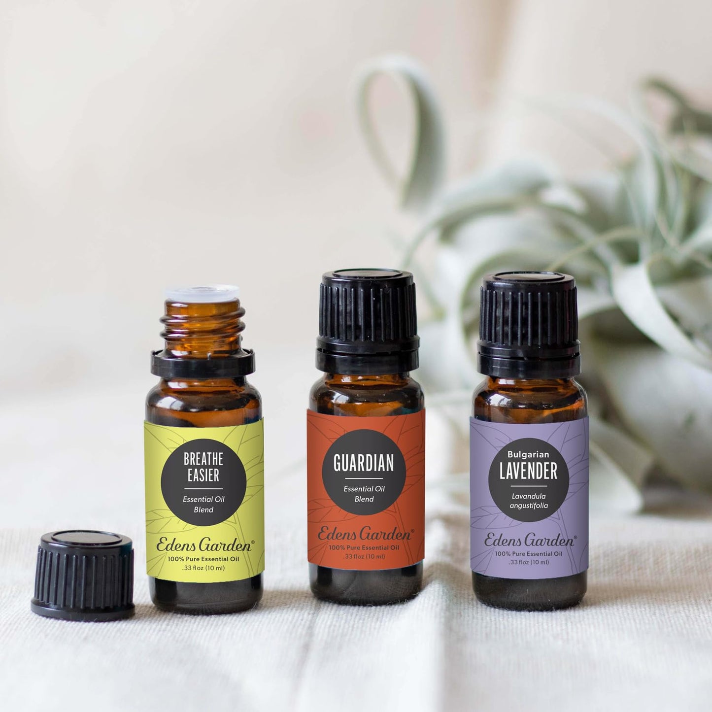 Edens Garden Essential Oil Well-Being Set, 3 Pure Essential Oils for Diffusers for Home Edens GardenBuy Supplements Australia