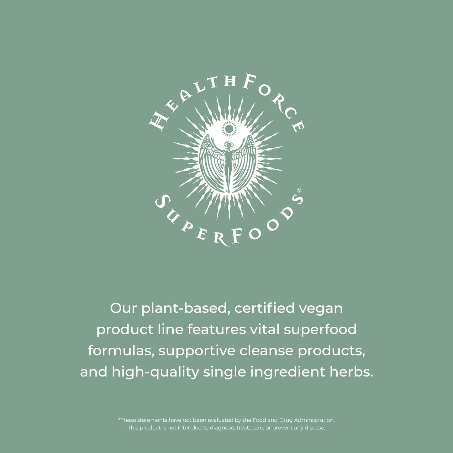 HEALTHFORCE SUPERFOODS Vitamineral Green - Mineral Supplement for Immune & Thyroid Support - Green Powder Supplement with Ingredients from The Land - Gluten-Free & Vegan - 500 Grams HEALTHFORCE SUPERFOODSBuy Supplements Australia