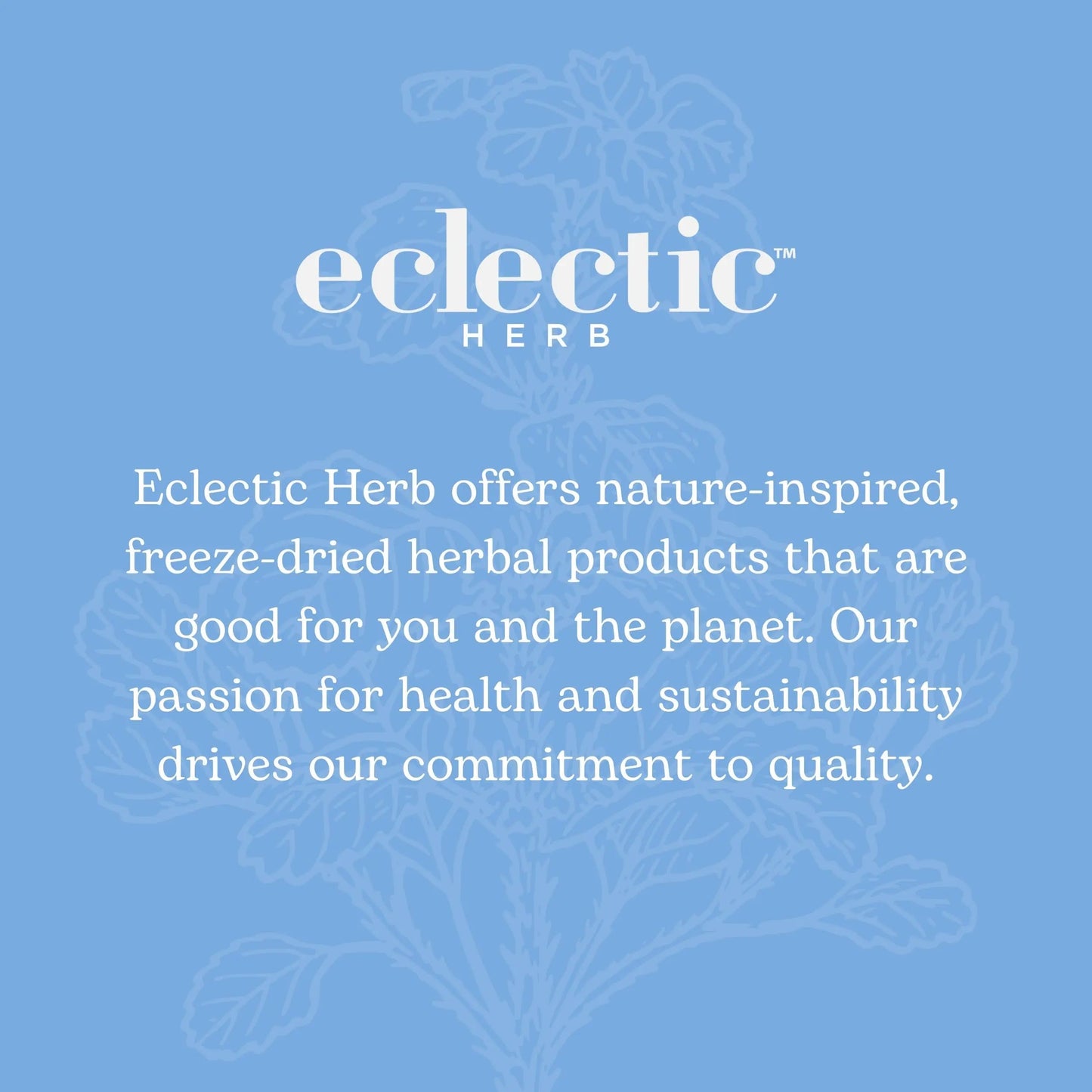 Eclectic Institute Stone Root O 2 Ounce ECLECTIC INSTITUTEBuy Supplements Australia